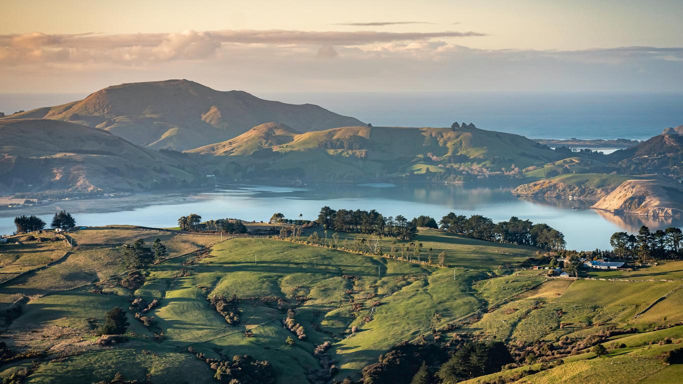 Flights to Dunedin